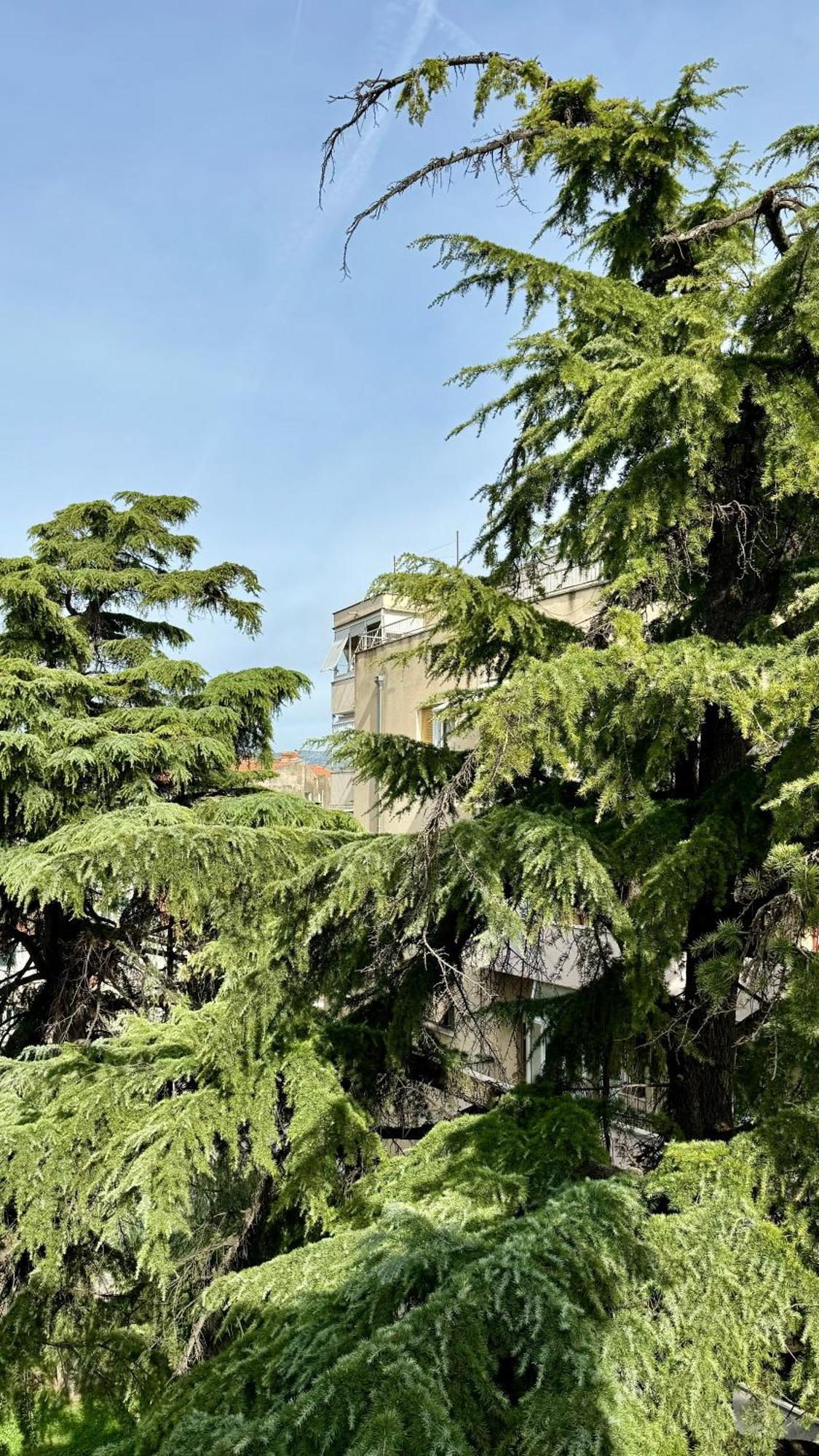 Jardin Rooms سبليت المظهر الخارجي الصورة